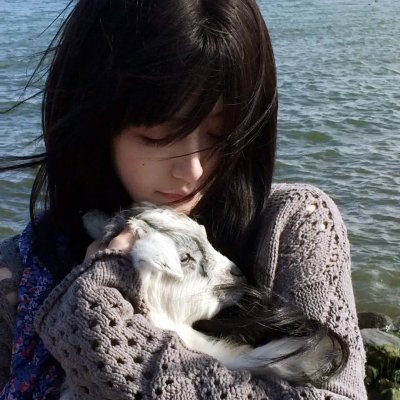 两万种蜜蜂 20.000